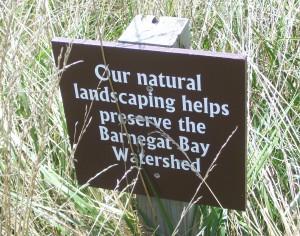 Maintaining a natural landscape will help prevent erosion and other landscape degradation.