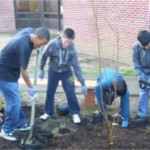 Students at Toms River Intermediate School North gather together to create a beautiful Outdoor Classroom for their school.