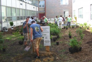 Rain garden at Central Regional High School Rain garden at Central Regional High School