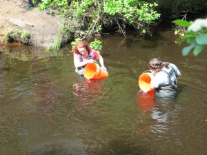Trout Release Trout are released into the headwaters of the Toms River at the Forest Resource Education Center in Jackson, NJ.